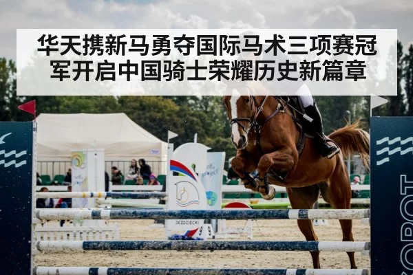show jumping horse